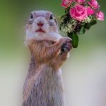 母の日に感動のサプライズを企画。お世話になってる母を絶対泣かす!